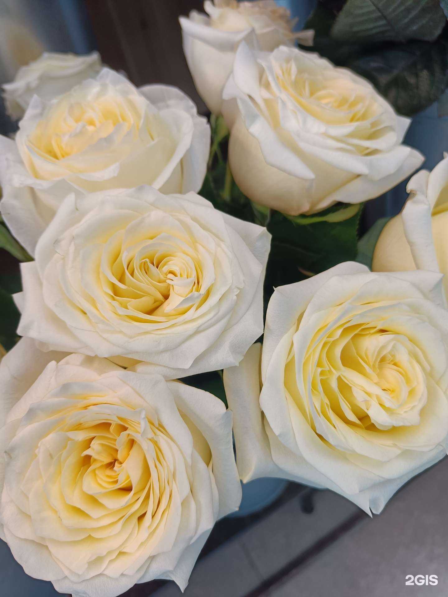 Отзывы на компанию Цветы для всех в Омске c фото