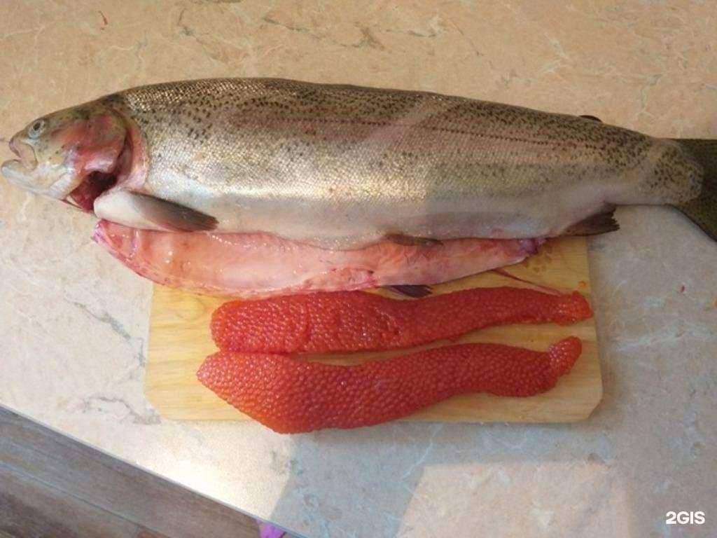 Отзывы на компанию Северная рыба в Шелехове c фото