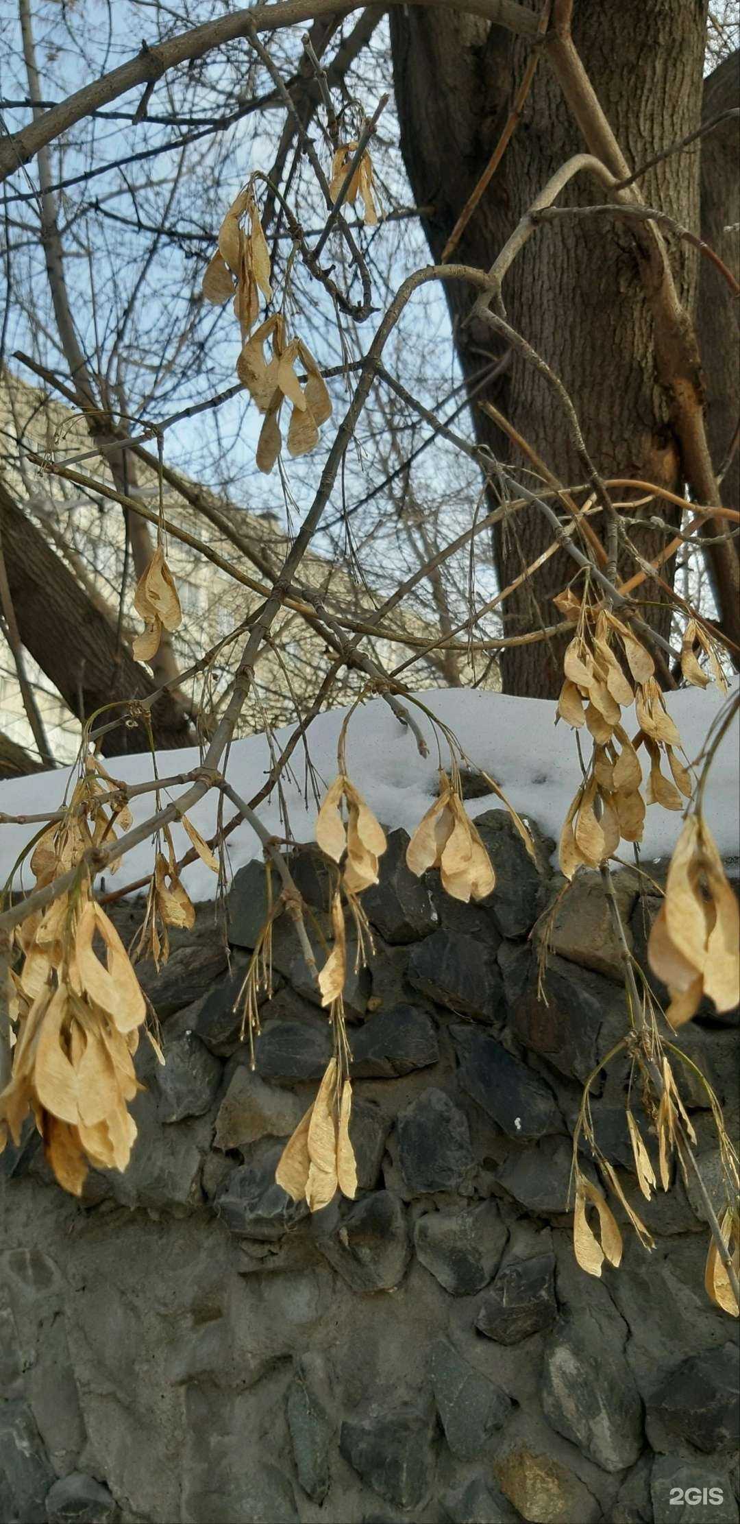 Отзывы на компанию Lash_мастерская в Новосибирске c фото - фотография 2 из 2