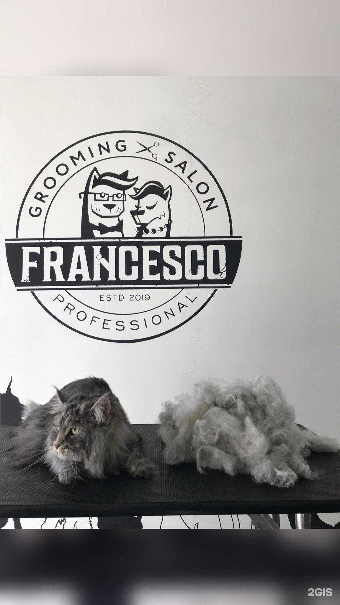 Отзывы на компанию Francesco в г. Тюмень c фото