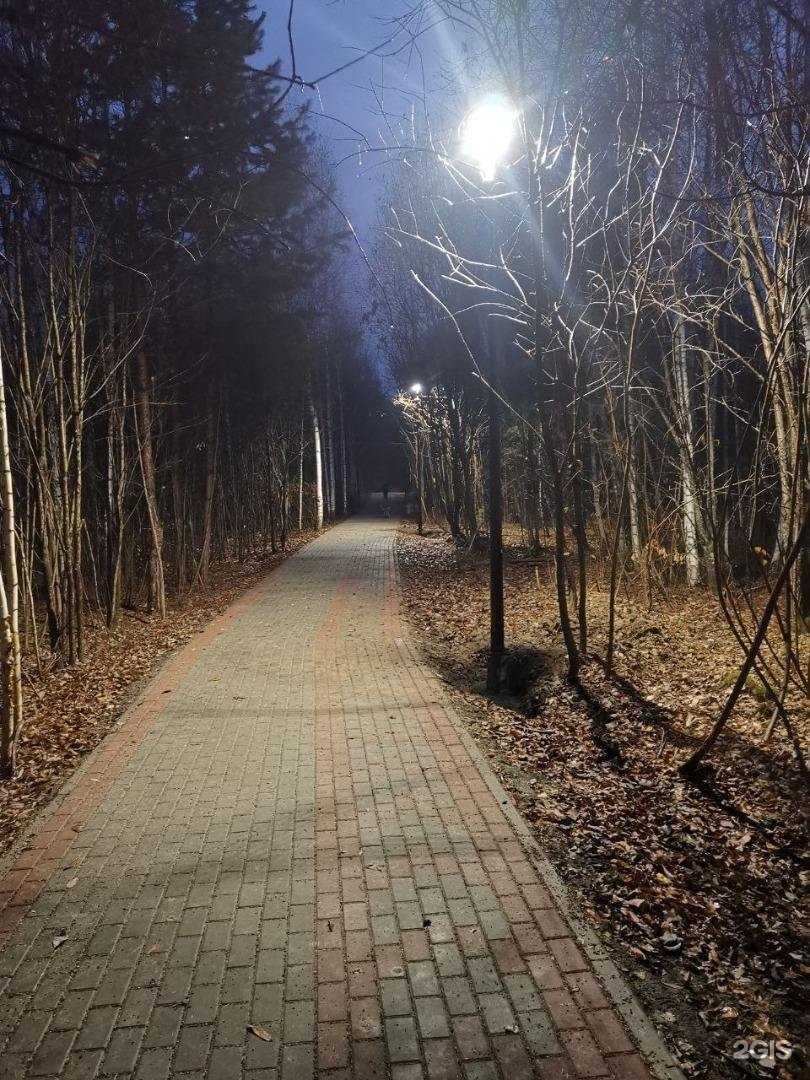 Отзывы на компанию Кластер в Томске c фото