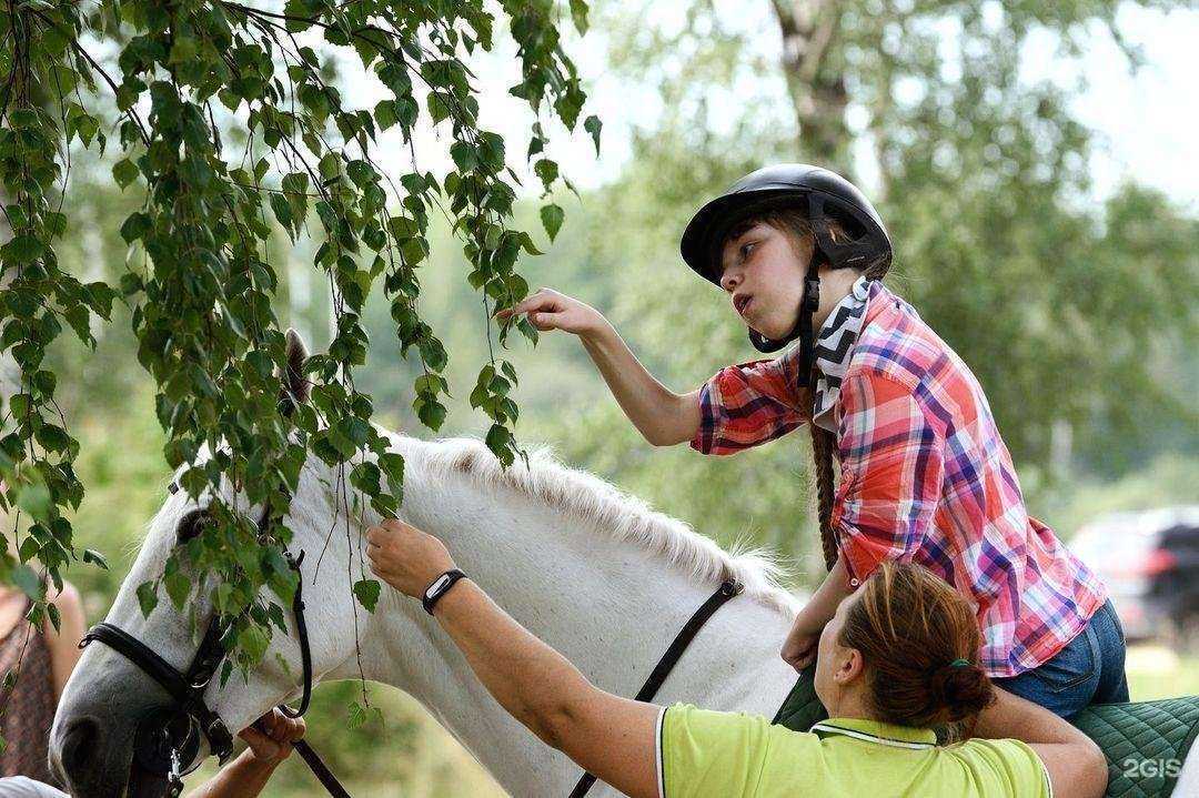 Отзывы на компанию Надежда в г. Нижний Новгород c фото