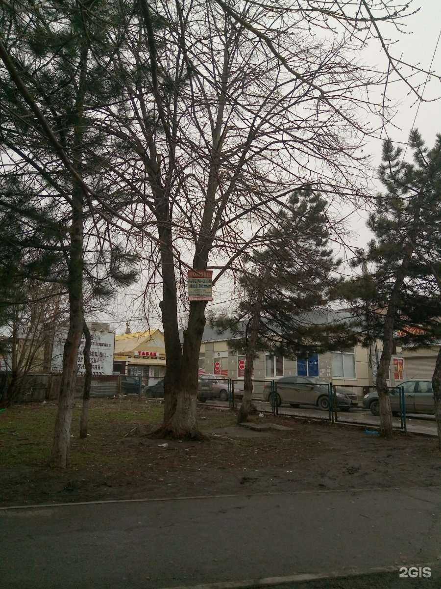 Отзывы на компанию Южная аптека в Ростове-на-Дону c фото - фотография 2 из 2