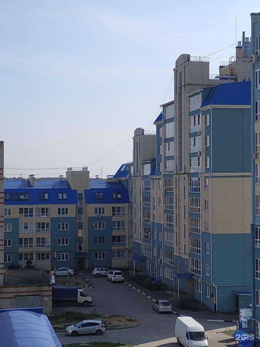 Отзывы на компанию ДокторВет в Иванове c фото - фотография 2 из 2