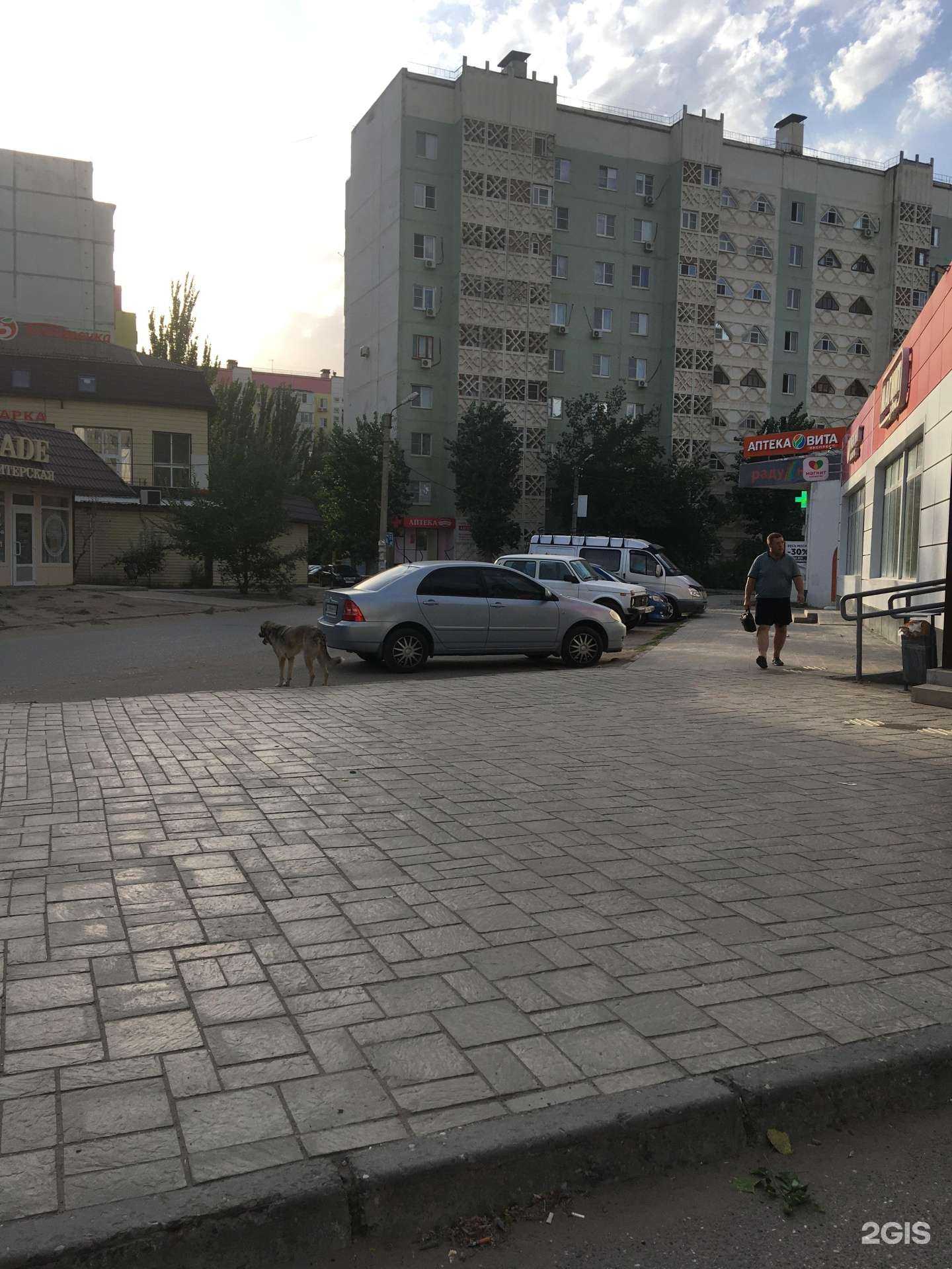 Отзывы на компанию Максавит в Астрахани c фото