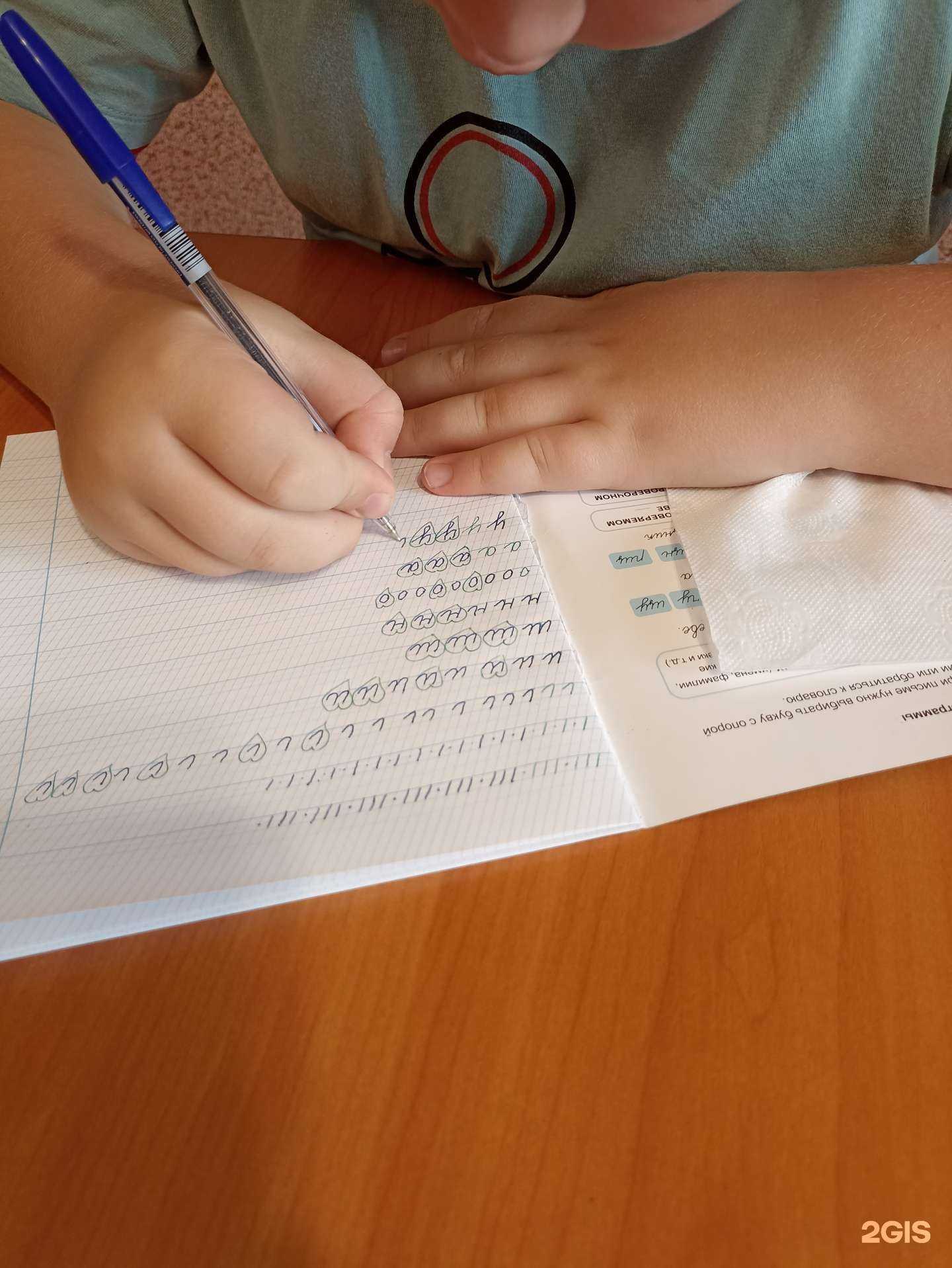 Отзывы на компанию Помогалочка 5+ в г. Омск c фото