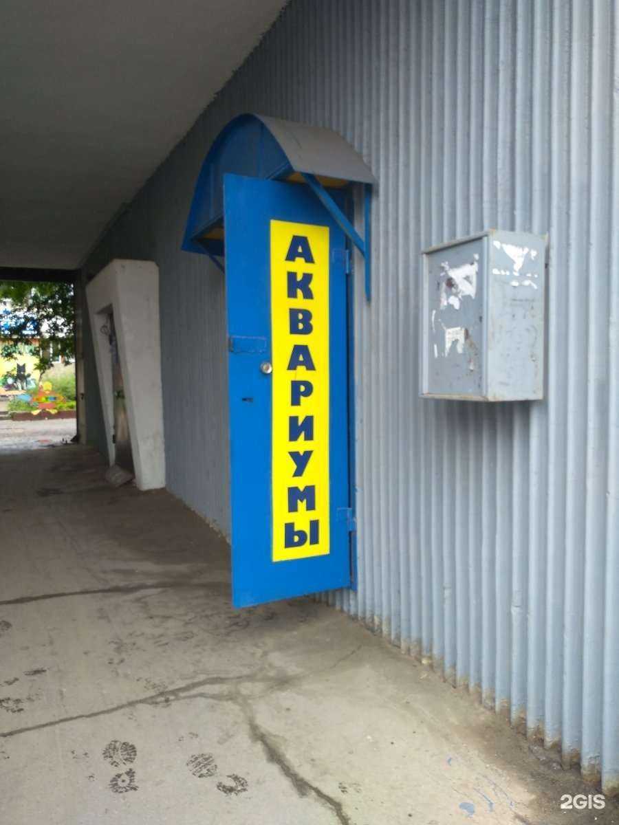 Отзывы на компанию Магазин аквариумов в г. Тула c фото