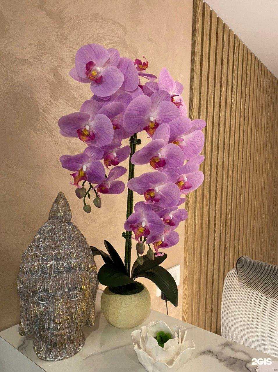 Отзывы на компанию Тай Ли в Иванове c фото