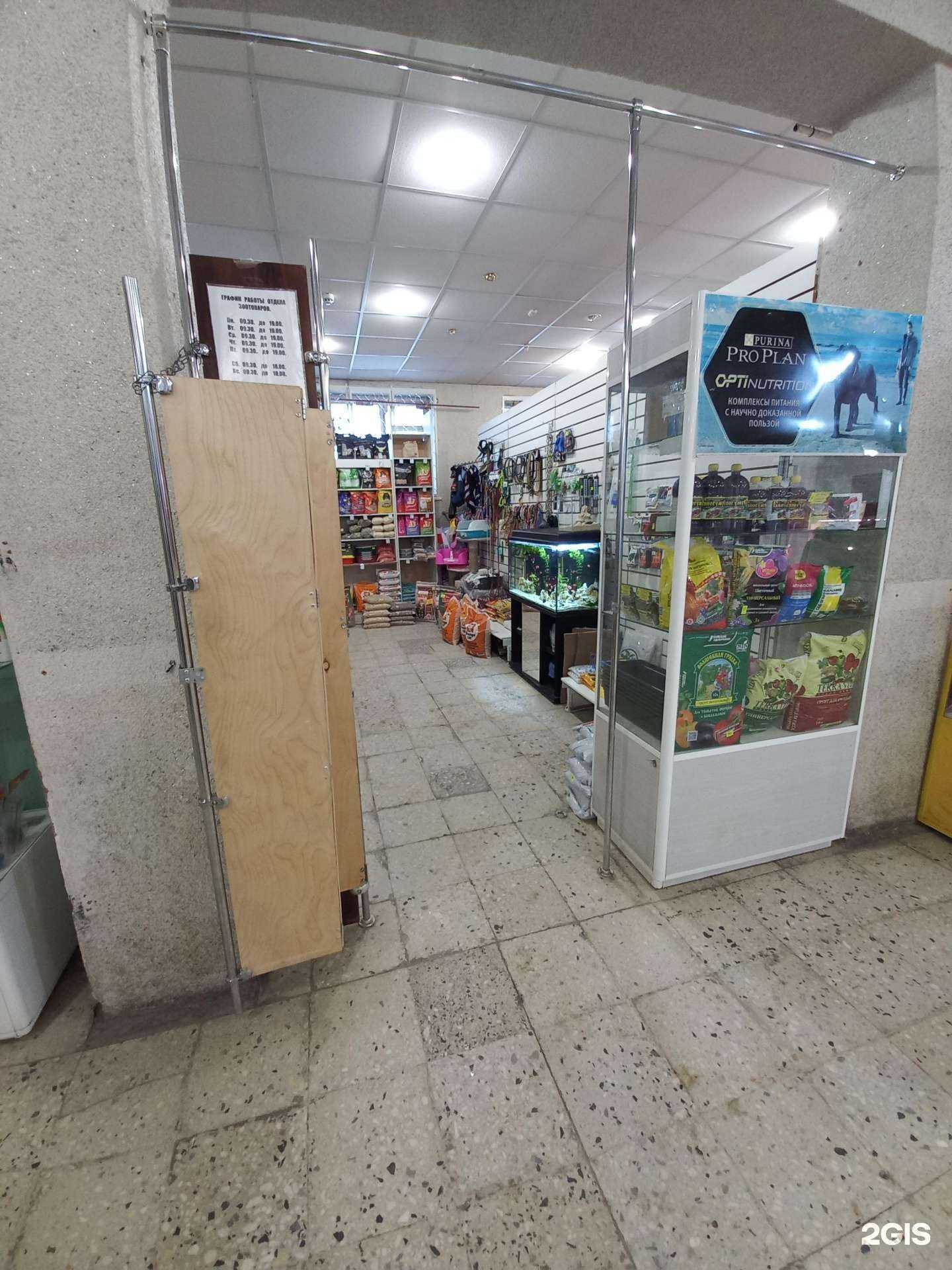 Отзывы на компанию Магазин зоотоваров в г. Тольятти c фото