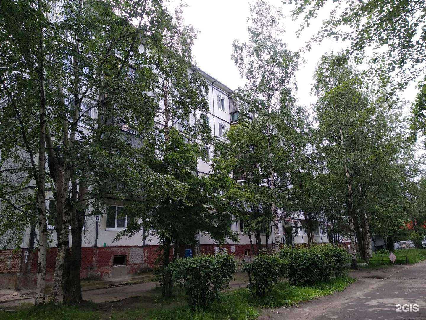 Отзывы на компанию Smoky Bro в Северодвинске c фото - фотография 2 из 2