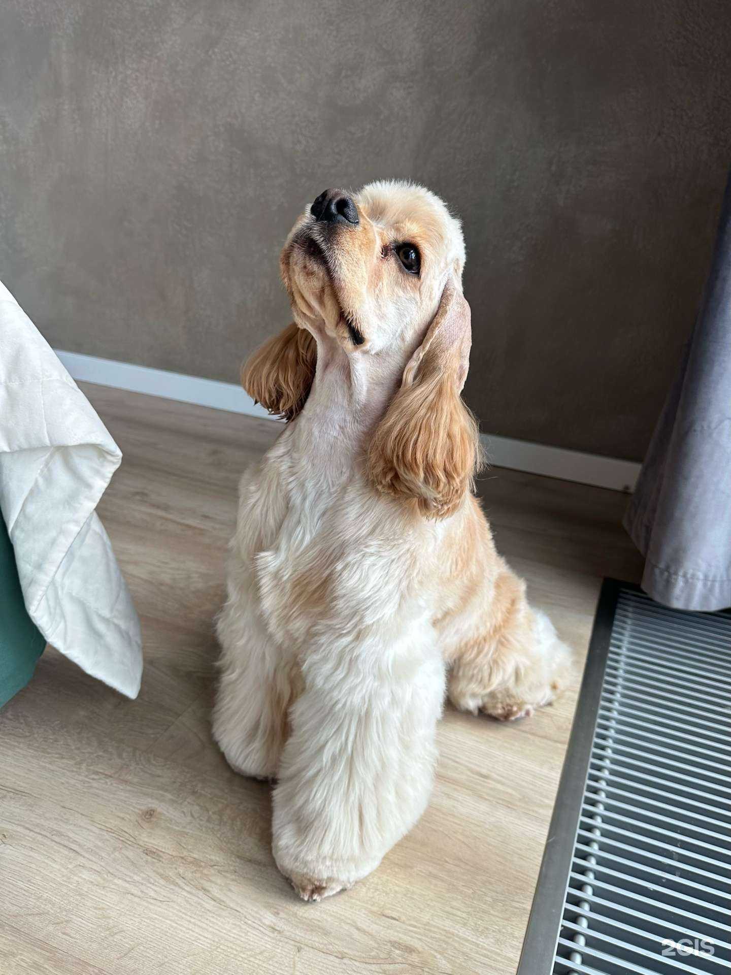 Отзывы на компанию Заповедник в Екатеринбурге c фото