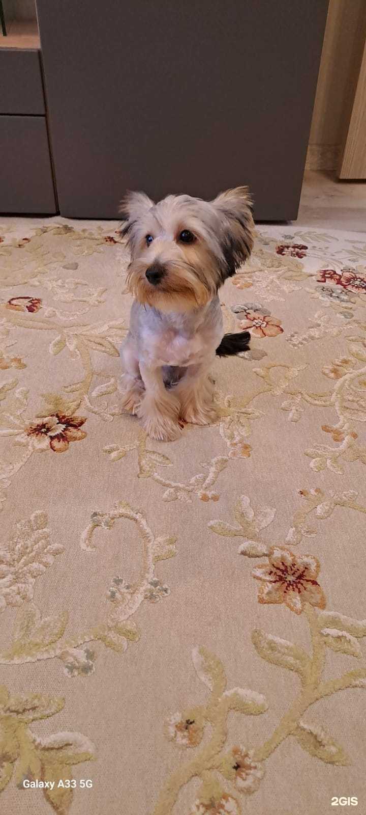 Отзывы на компанию Император в г. Великий Новгород c фото