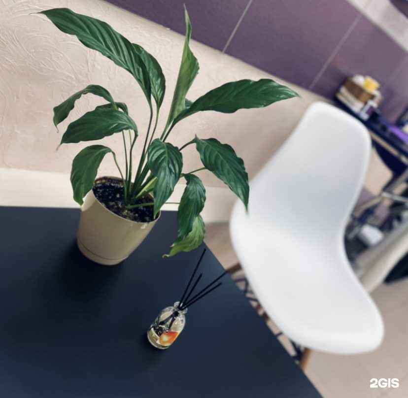 Отзывы на компанию Lashspace Le в г. Пермь c фото