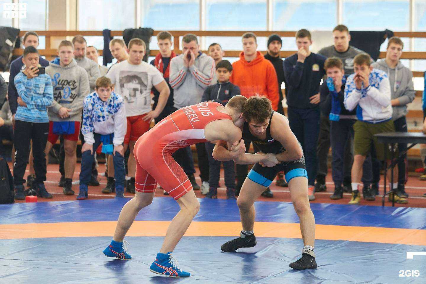 Отзывы на компанию СШОР по спортивной борьбе им. Заслуженного тренера России Л.Ф. Мошкина в Челябинске c фото