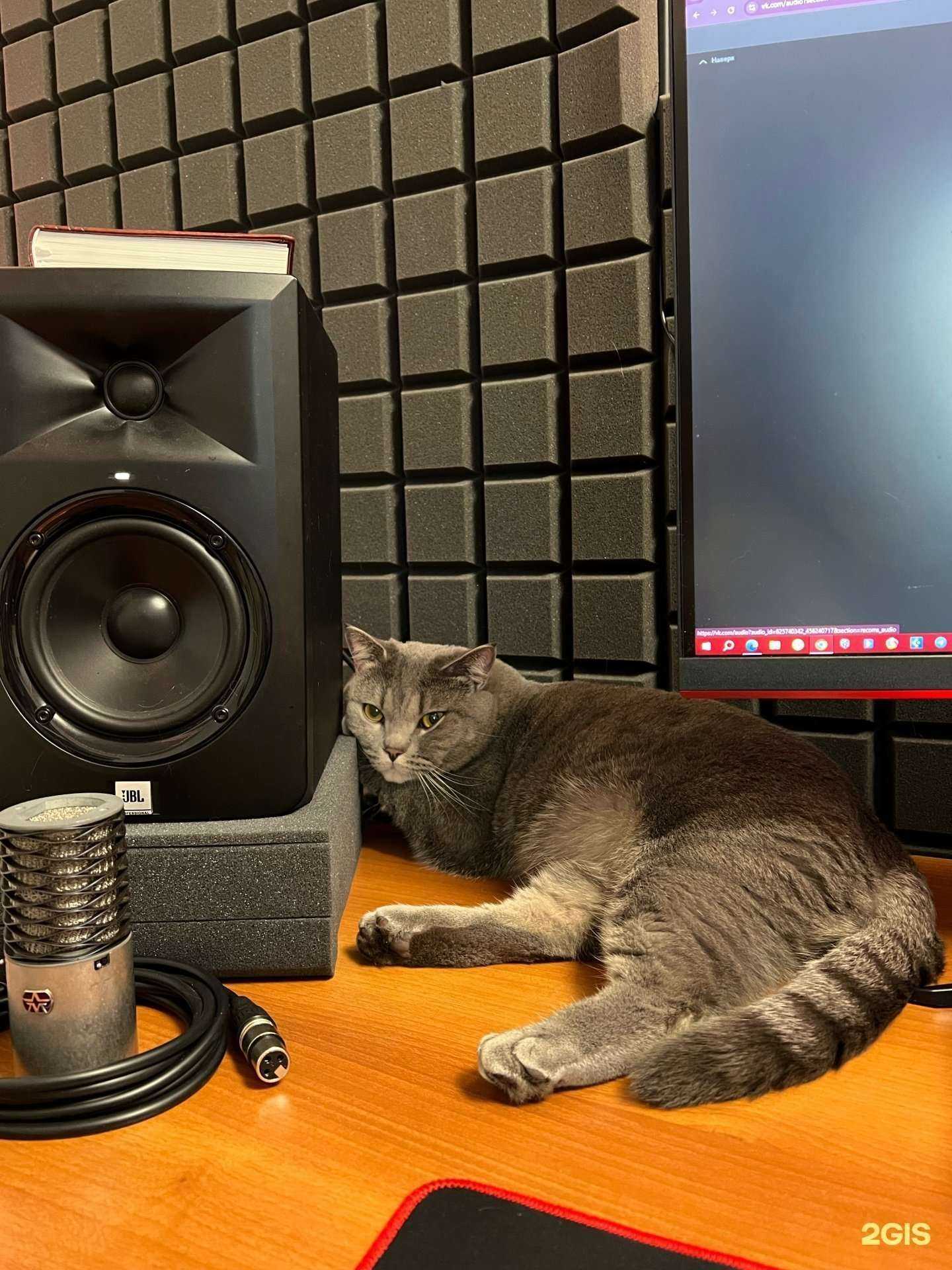 Отзывы на компанию Sami Znali в Краснодаре c фото