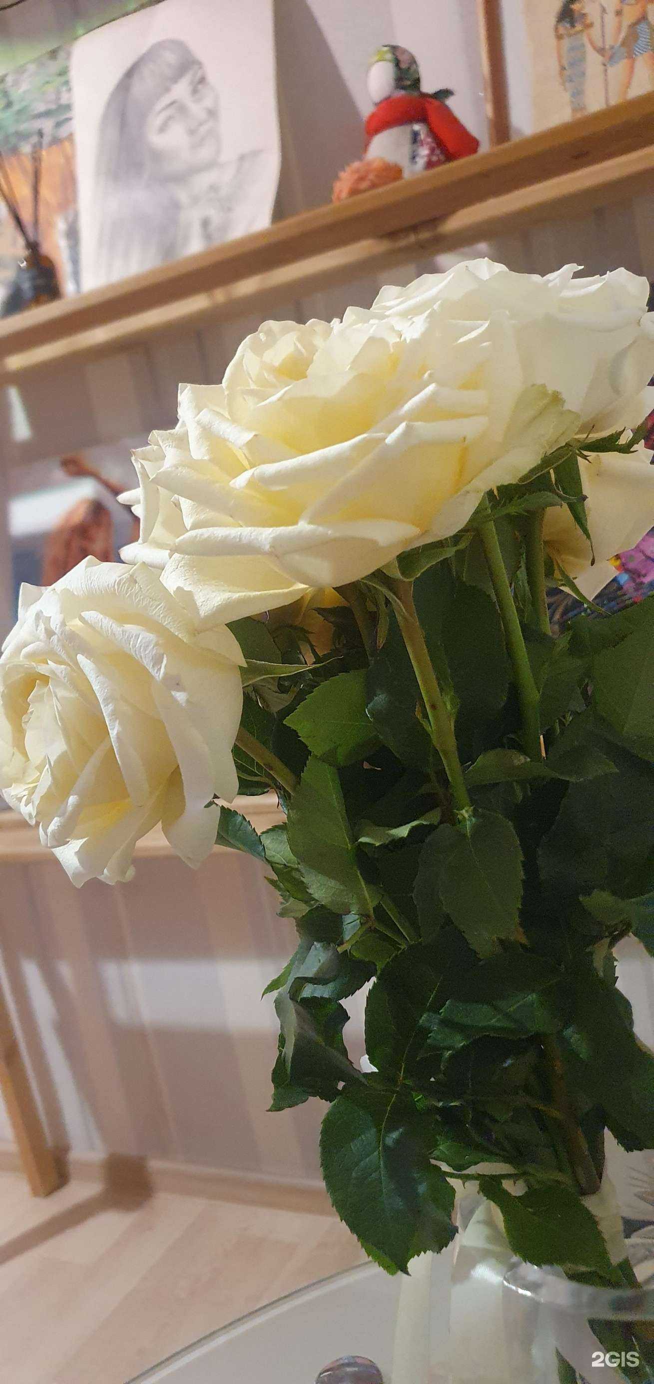 Отзывы на компанию Аура цветов в г. Иркутск c фото