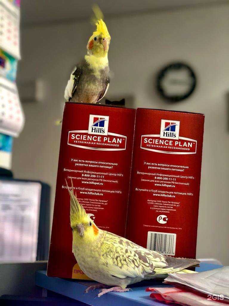 Отзывы на компанию Зоодруг в Ростове-на-Дону c фото