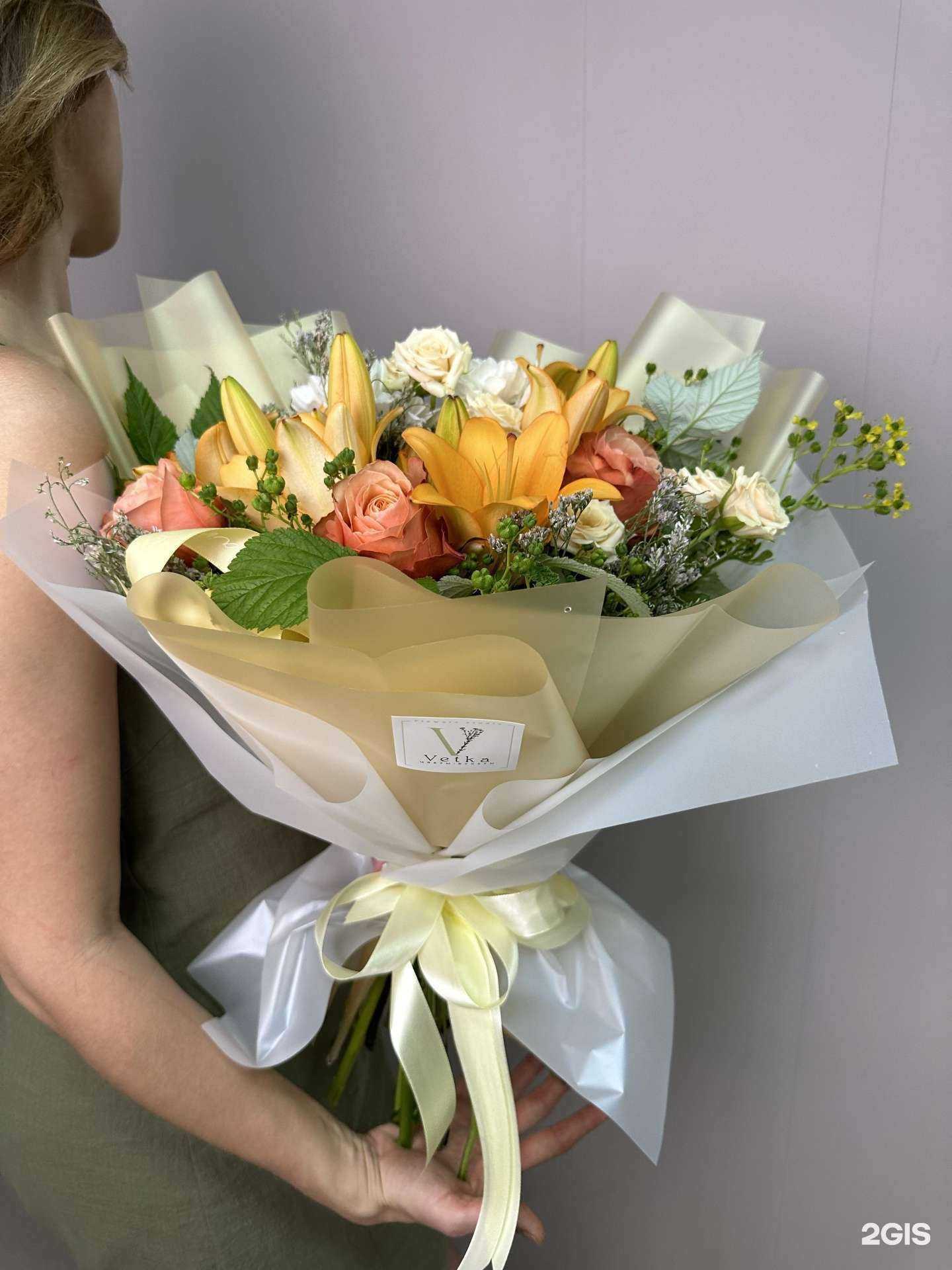 Отзывы на компанию Vetka  в Тольятти c фото