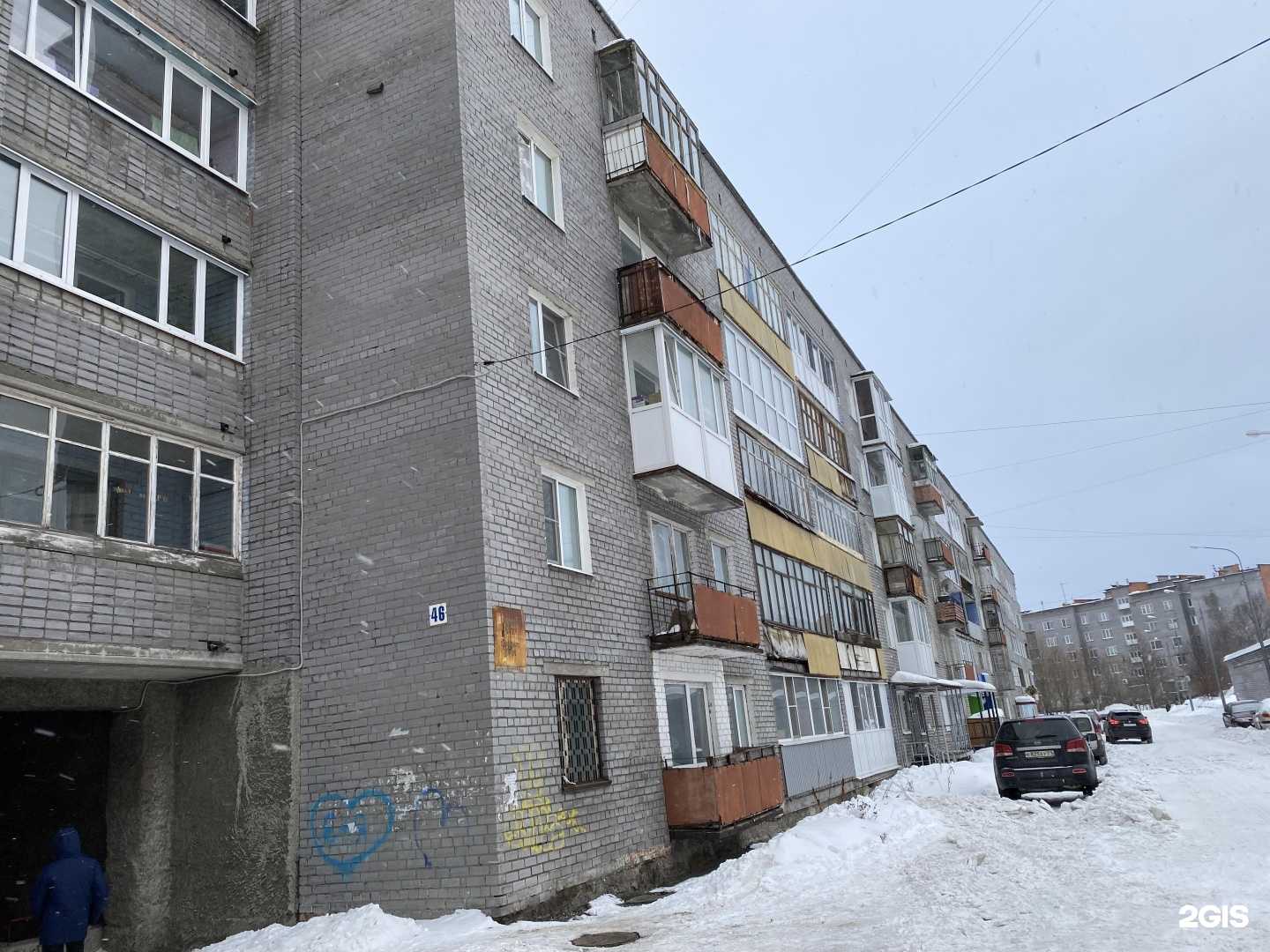 Отзывы на компанию Зоомагазин в Оленегорске c фото - фотография 2 из 2