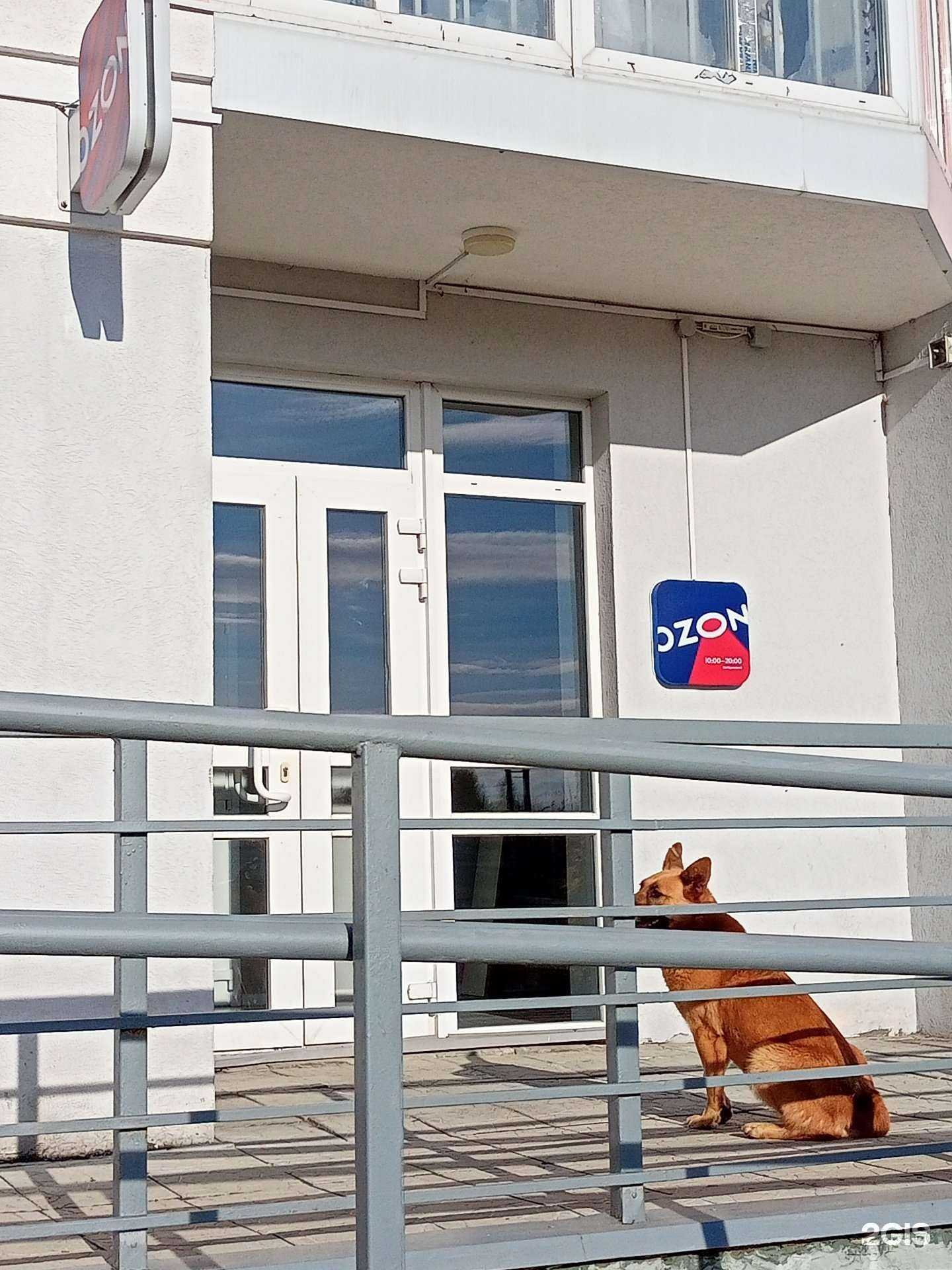 Отзывы на компанию Коровки в Иванове c фото