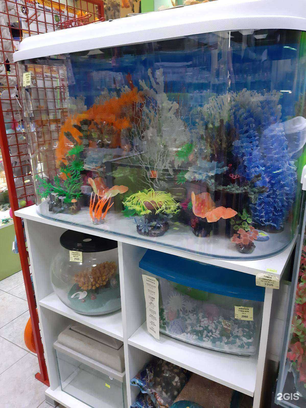 Отзывы на компанию Желтый слон в Тольятти c фото