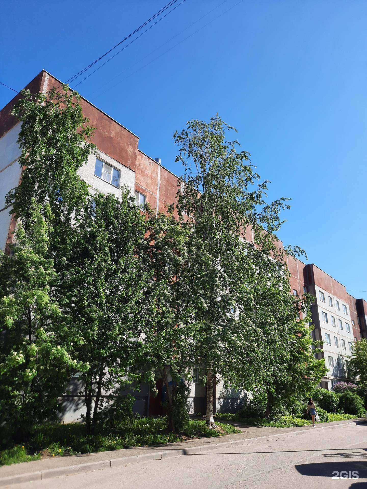 Отзывы на компанию Вита в Вологде c фото - фотография 2 из 2