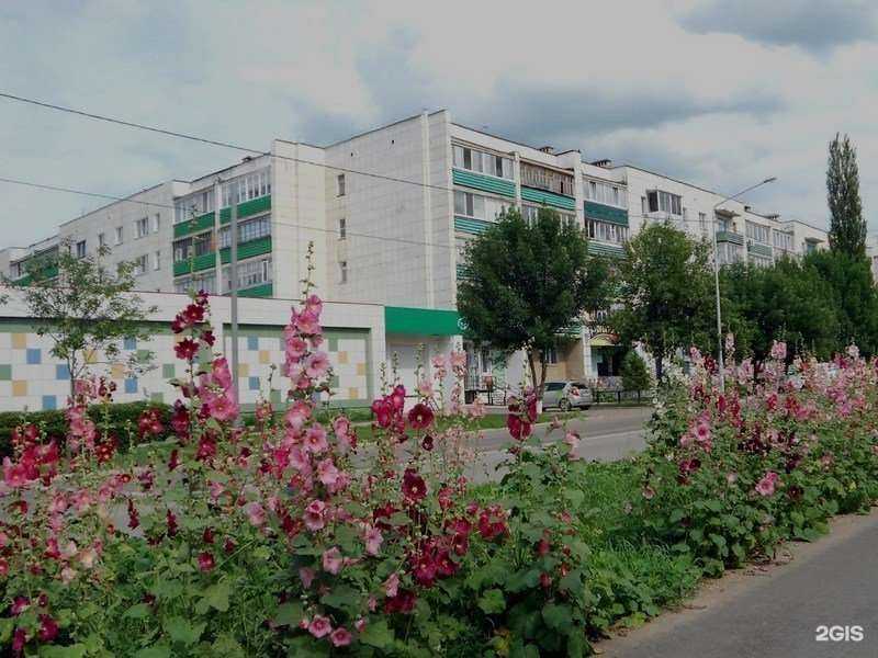 Отзывы на компанию Фазенда в Туймазах c фото - фотография 2 из 2