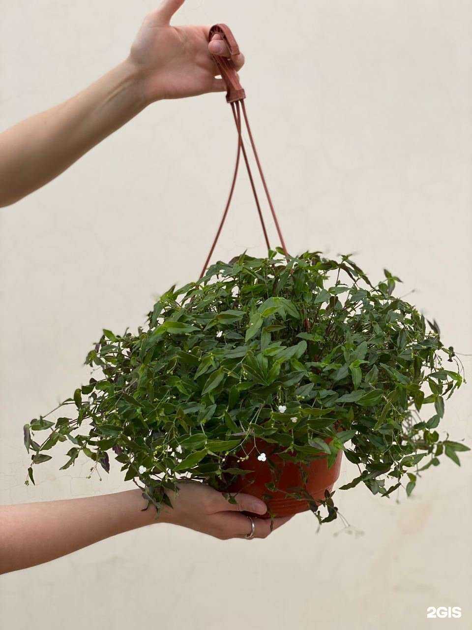 Отзывы на компанию Ромашка в Махачкале c фото