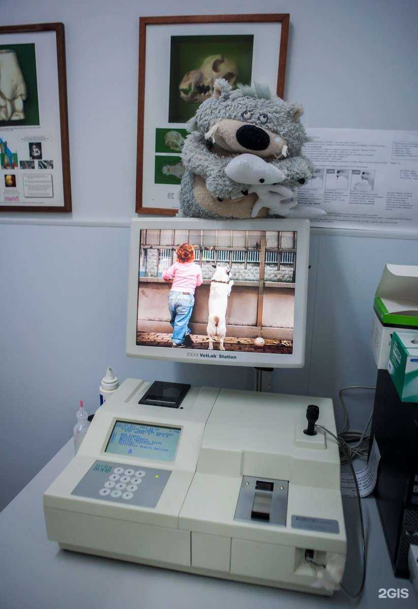 Отзывы на компанию Ветеринарный центр в Петрозаводске c фото