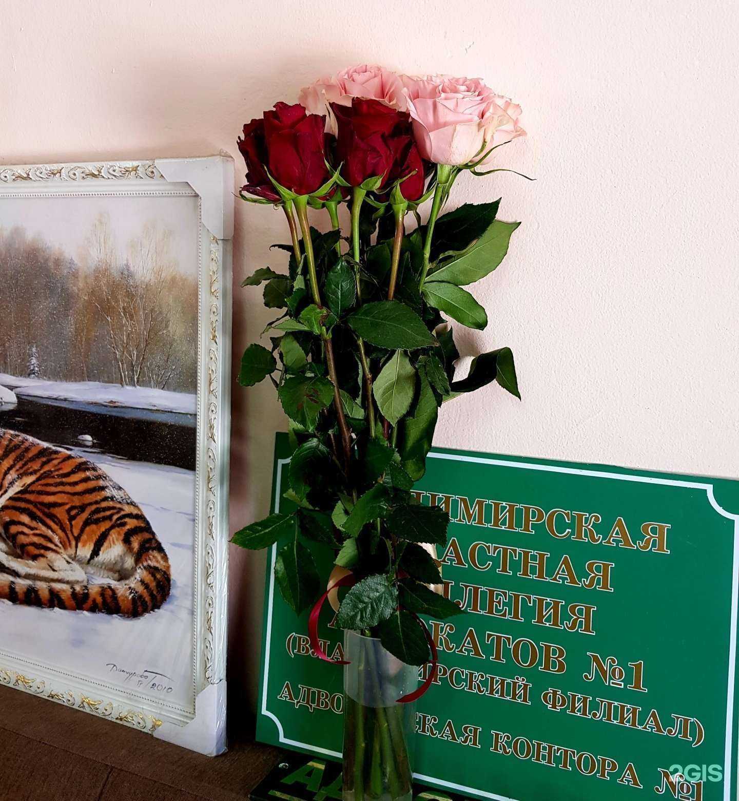 Отзывы на компанию Адвокат Абасова Н.И. в Владимире c фото