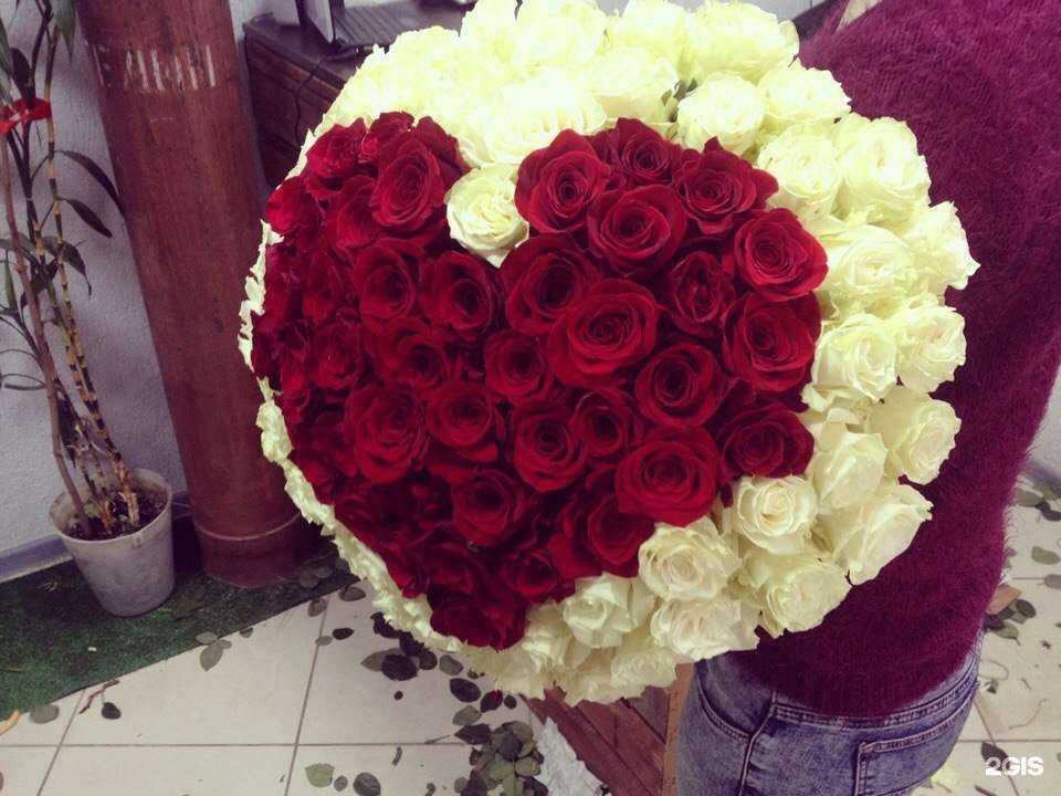 Отзывы на компанию Ивроза в Иванове c фото