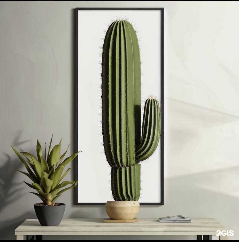 Отзывы на компанию Кактус в г. Новосибирск c фото