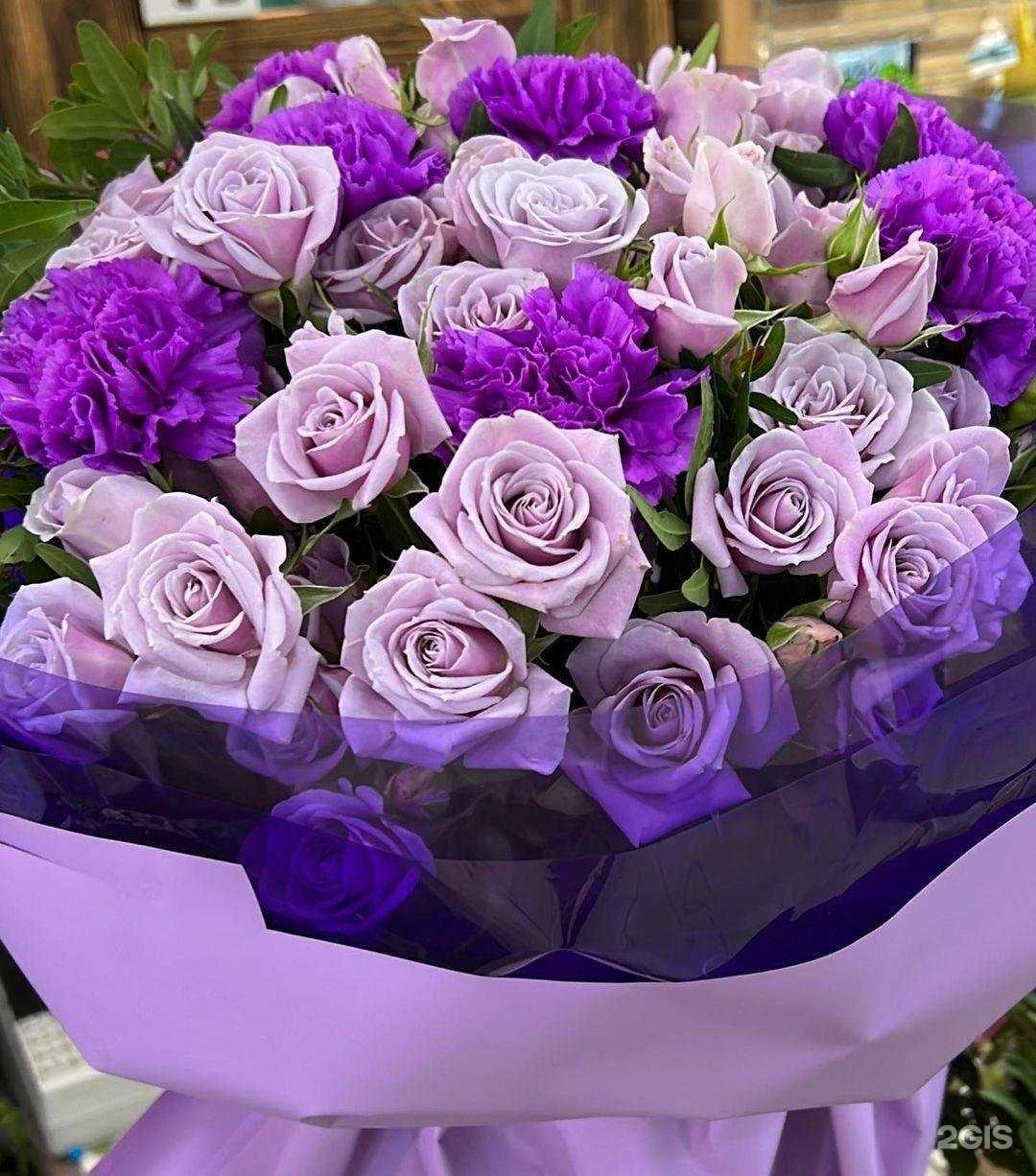 Отзывы на компанию Magnolia в г. Челябинск c фото