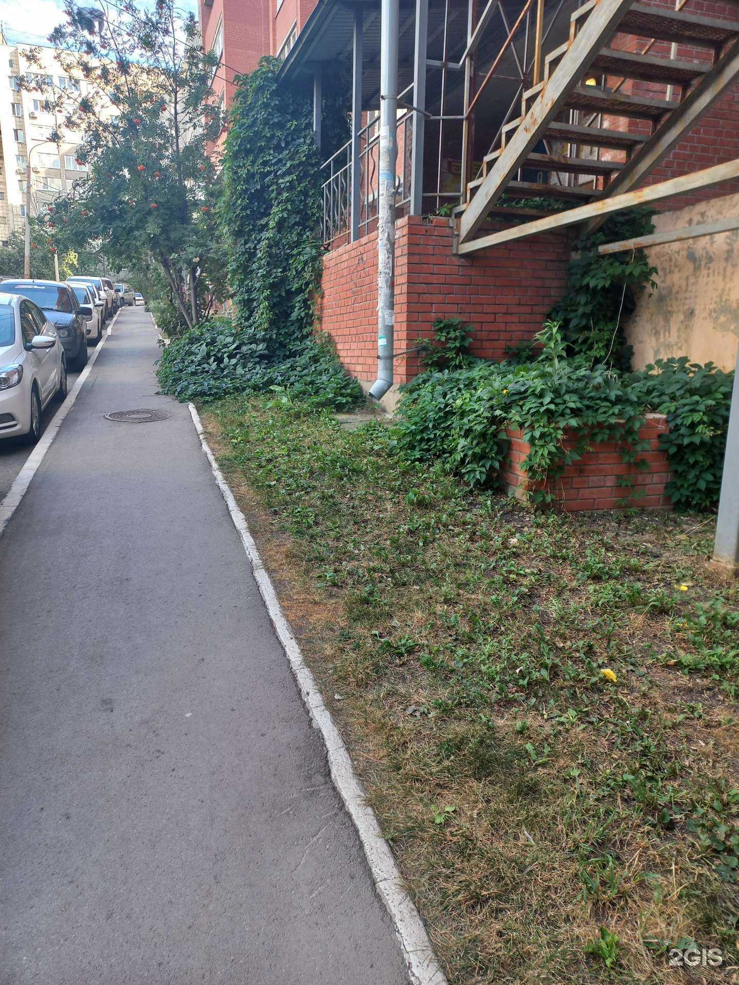 Отзывы на компанию Чистая поляна в Самаре c фото