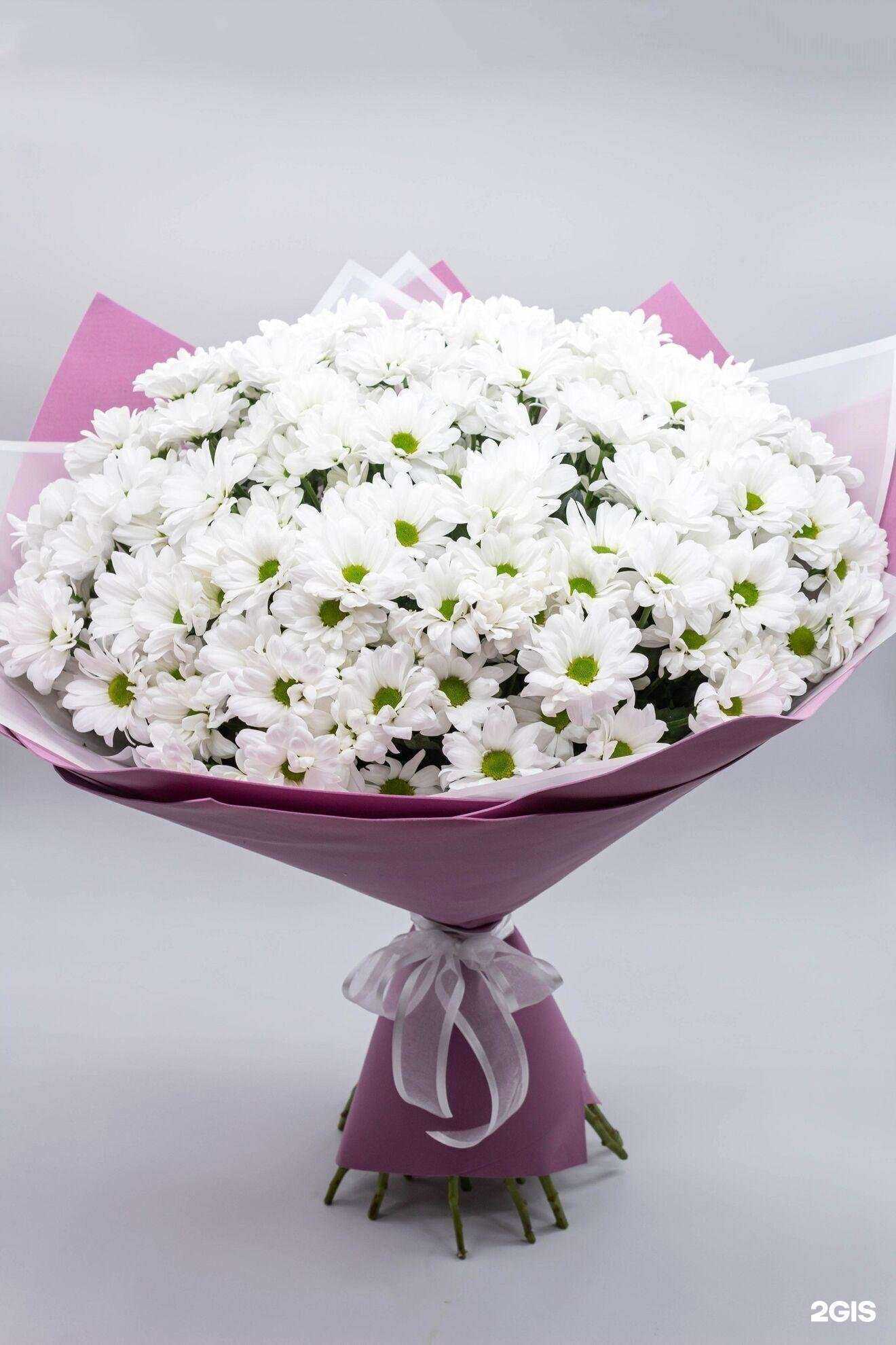 Отзывы на компанию Florens в Тюмени c фото