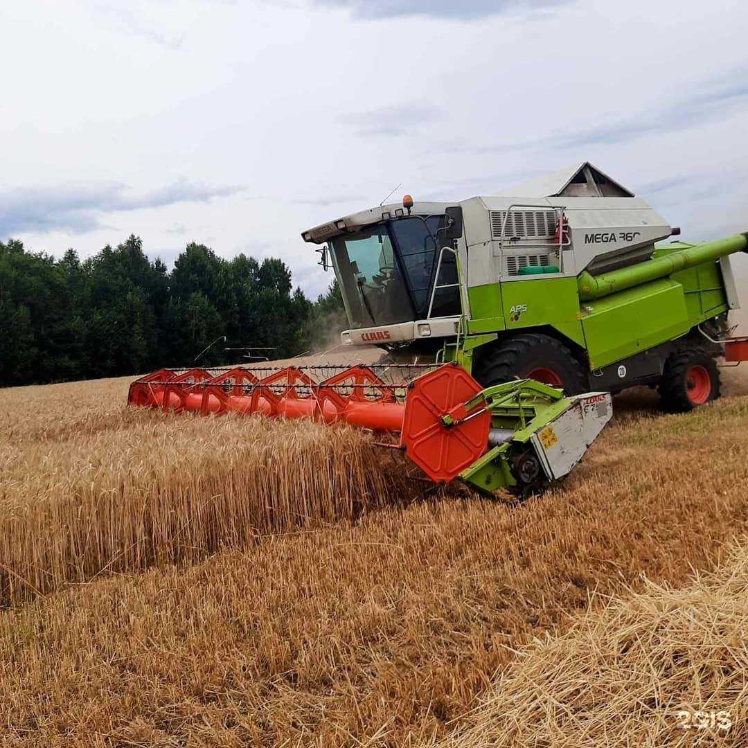 Отзывы на компанию Сеймовская птицефабрика в г. Дзержинск c фото