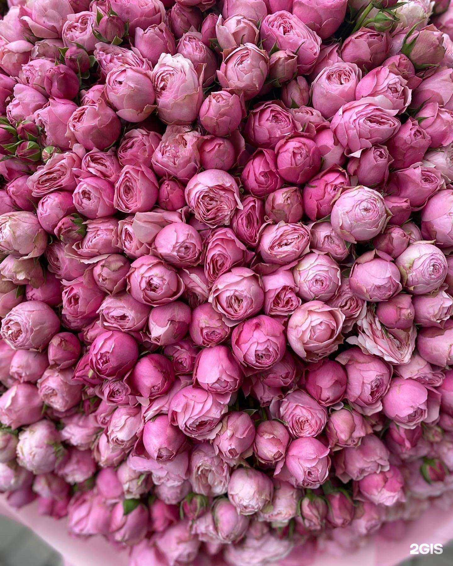 Отзывы на компанию Комплимент в г. Петрозаводск c фото