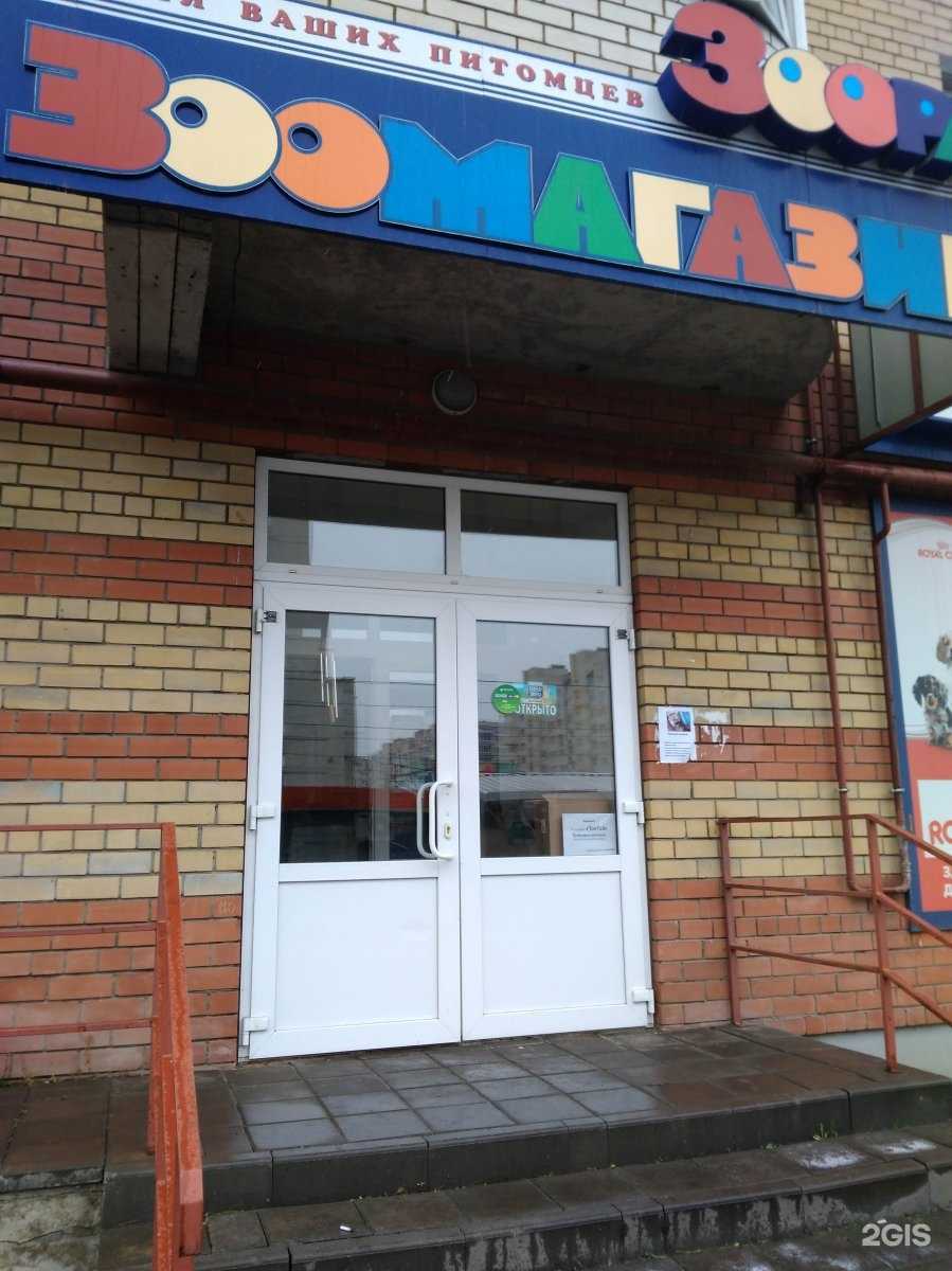 Отзывы на компанию Зоорай в Тамбове c фото