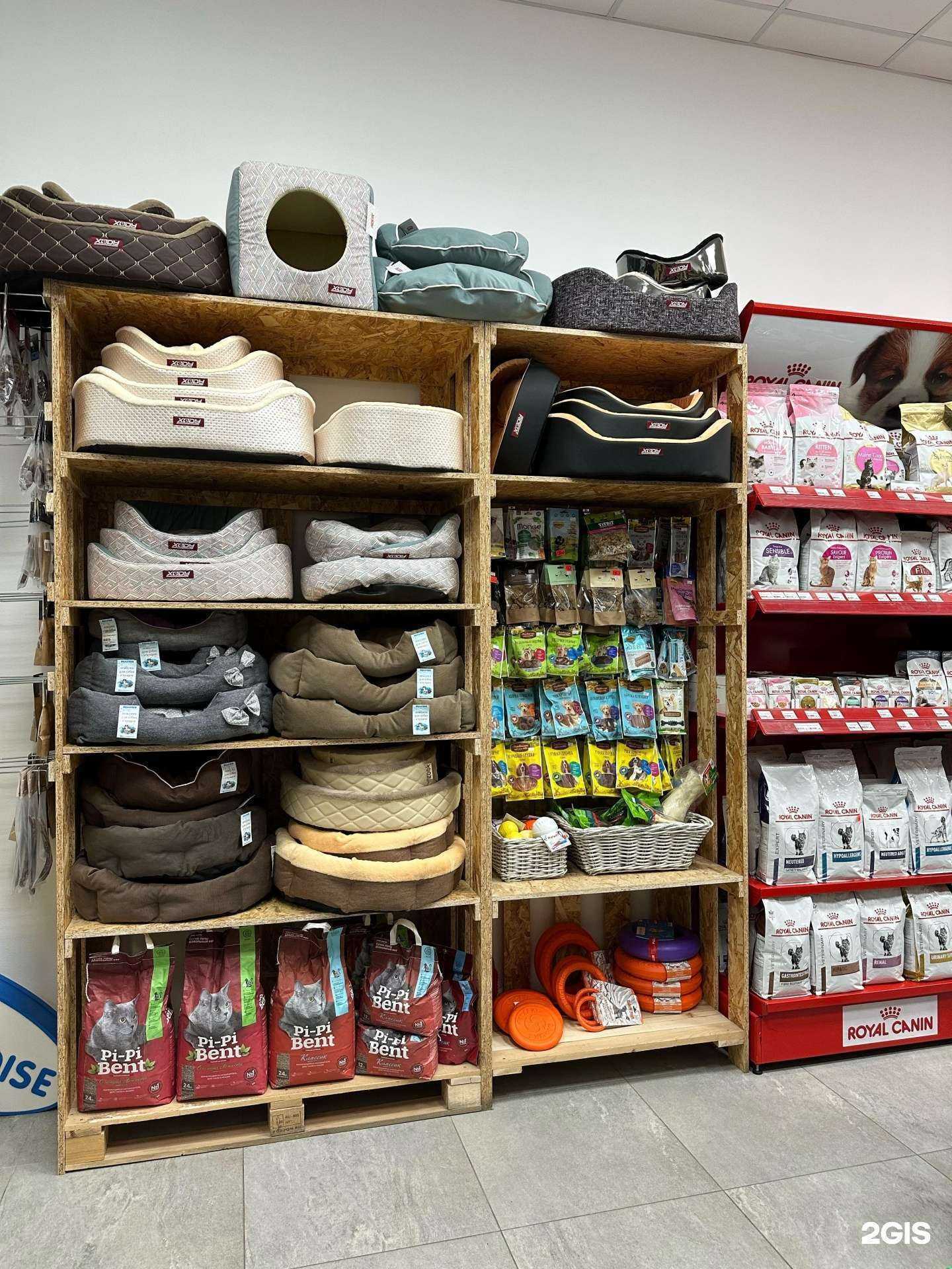 Отзывы на компанию Cats Paradise в г. Челябинск c фото