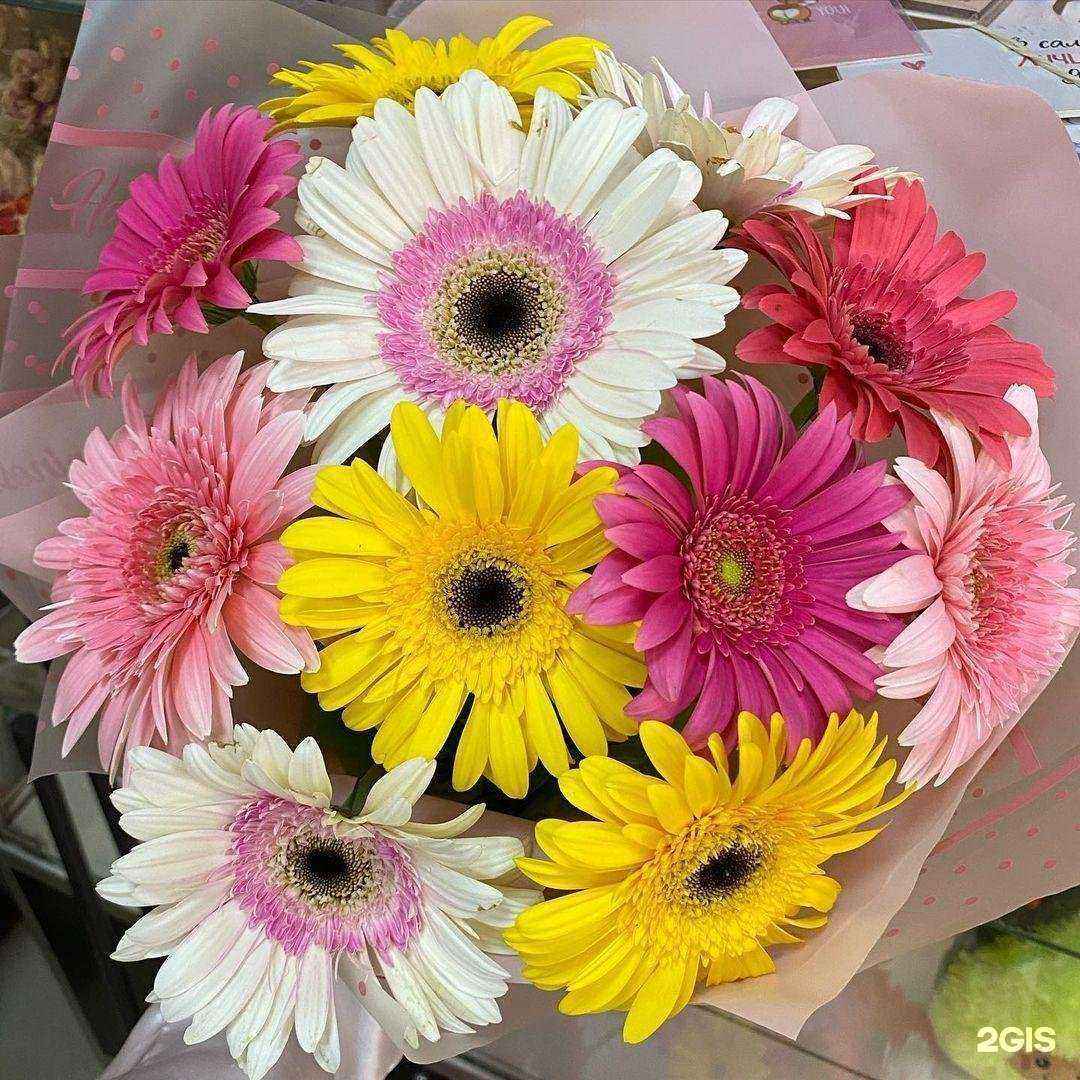 Отзывы на компанию Flori в Краснодаре c фото