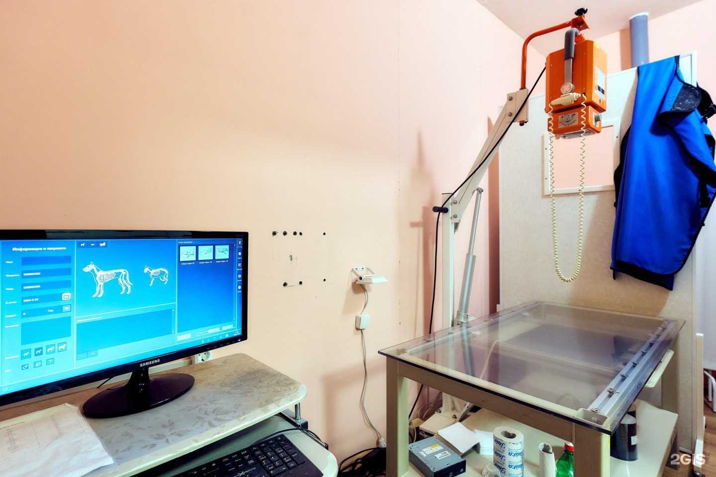 Отзывы на компанию Здоровье Животных в Воронеже c фото