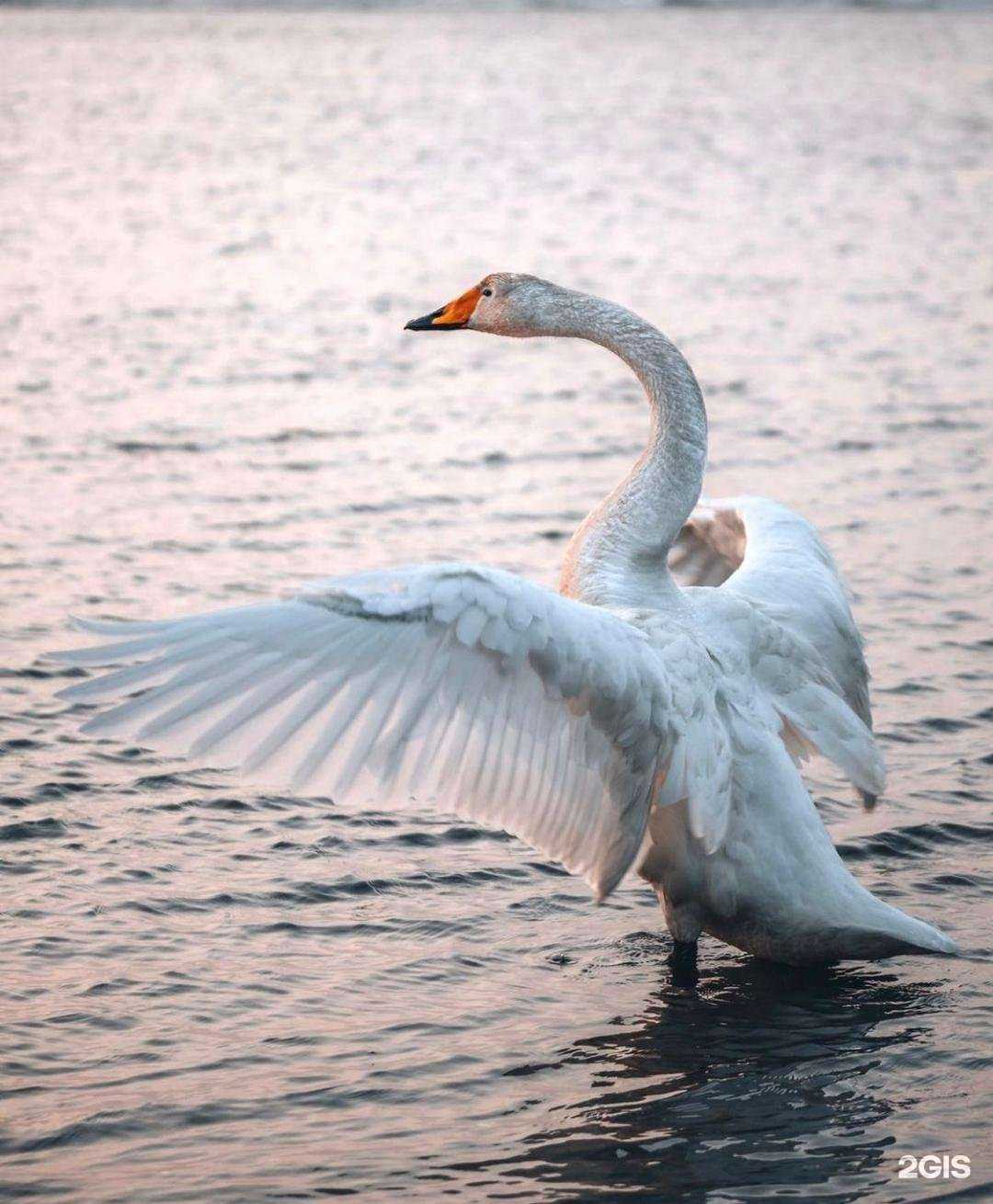 Отзывы на компанию Аств в Южно-Сахалинске c фото