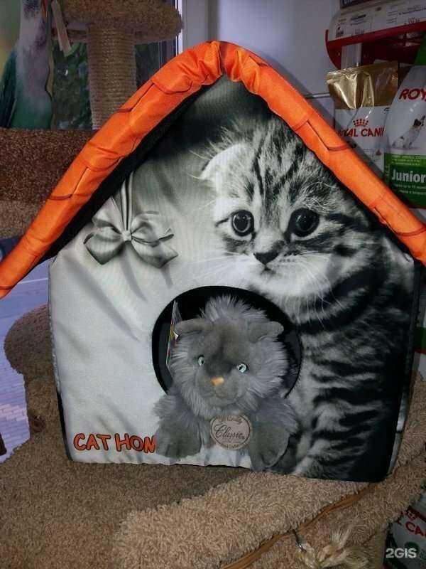 Отзывы на компанию Пушистый модник в г. Липецк c фото