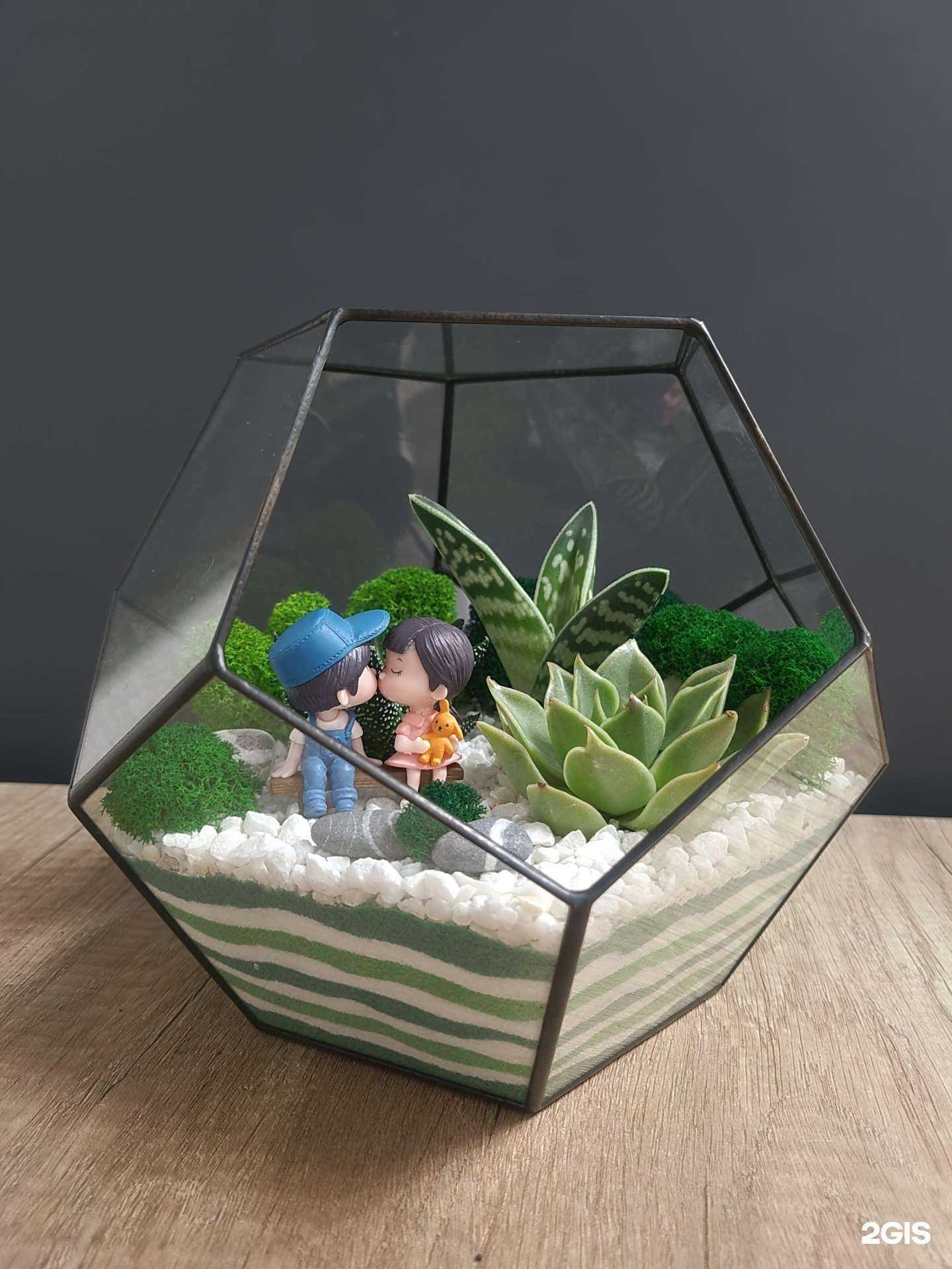 Отзывы на компанию Фитостудия в Курске c фото