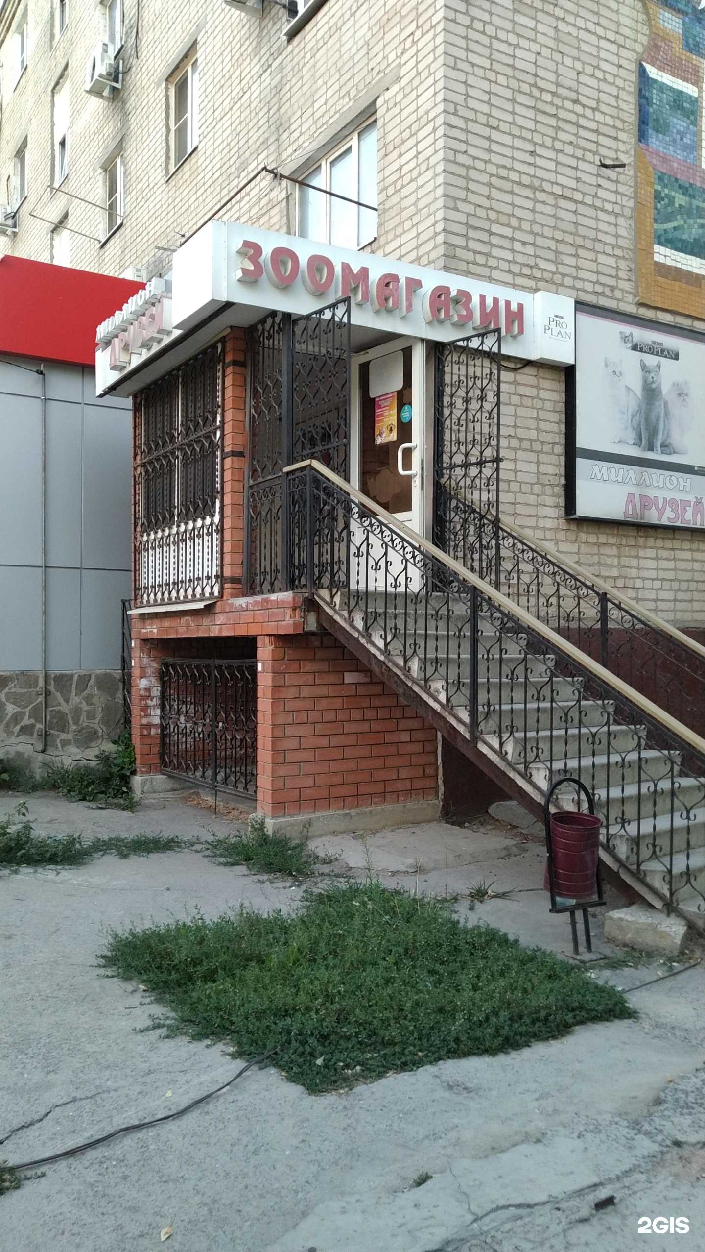 Отзывы на компанию Миллион друзей в Волгодонске c фото