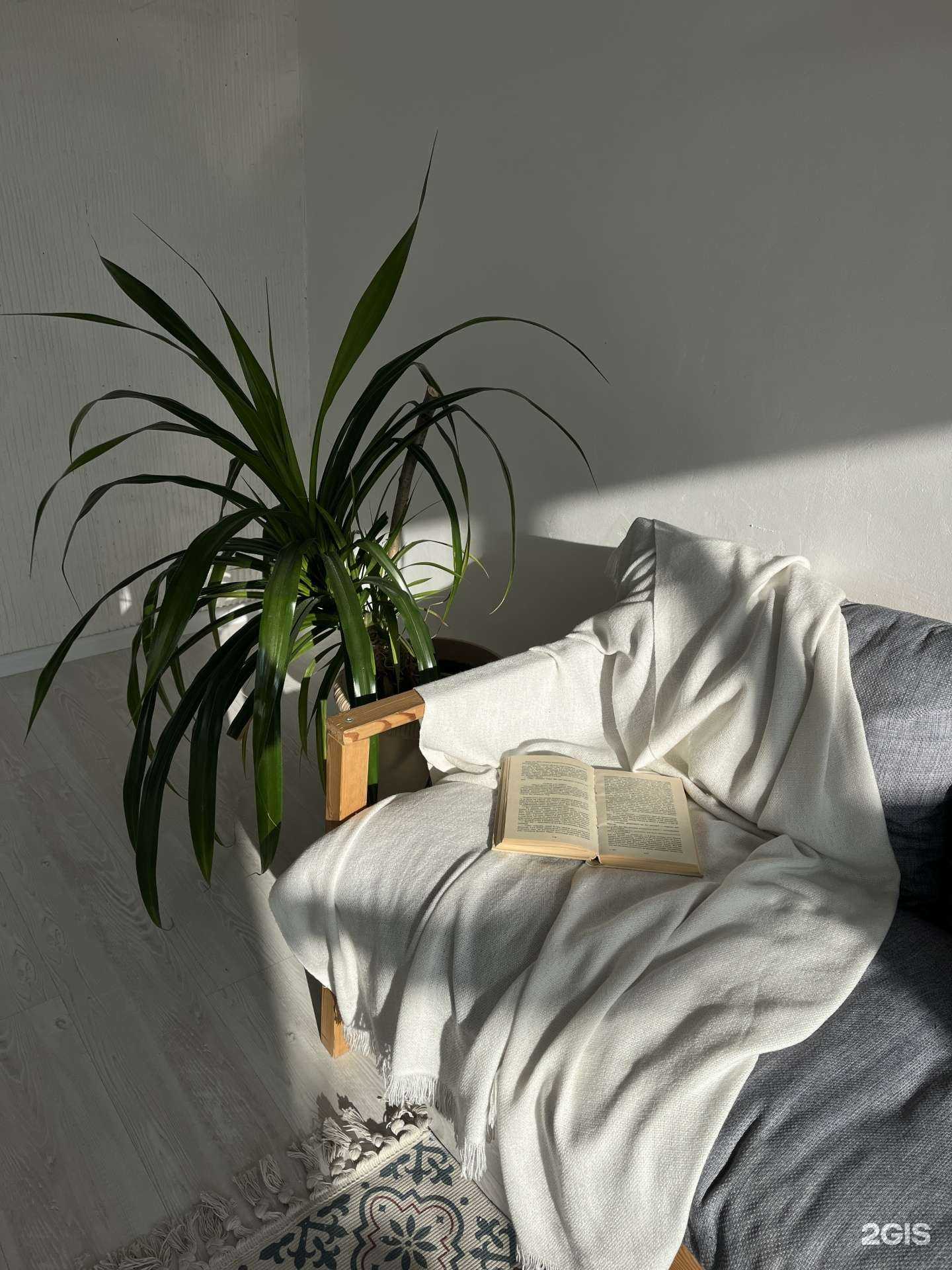 Отзывы на компанию Visual studio в Новосибирске c фото