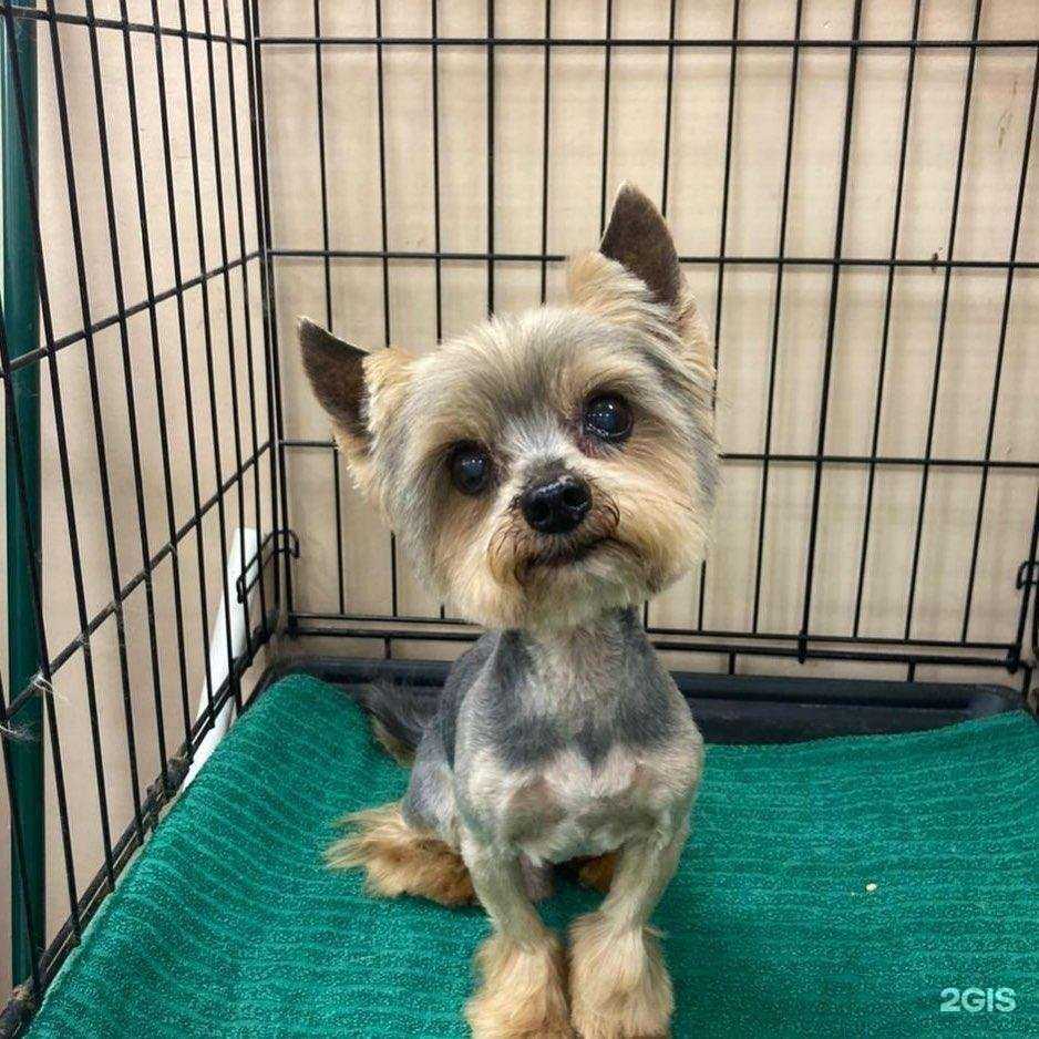 Отзывы на компанию Клёпа в Одинцове c фото