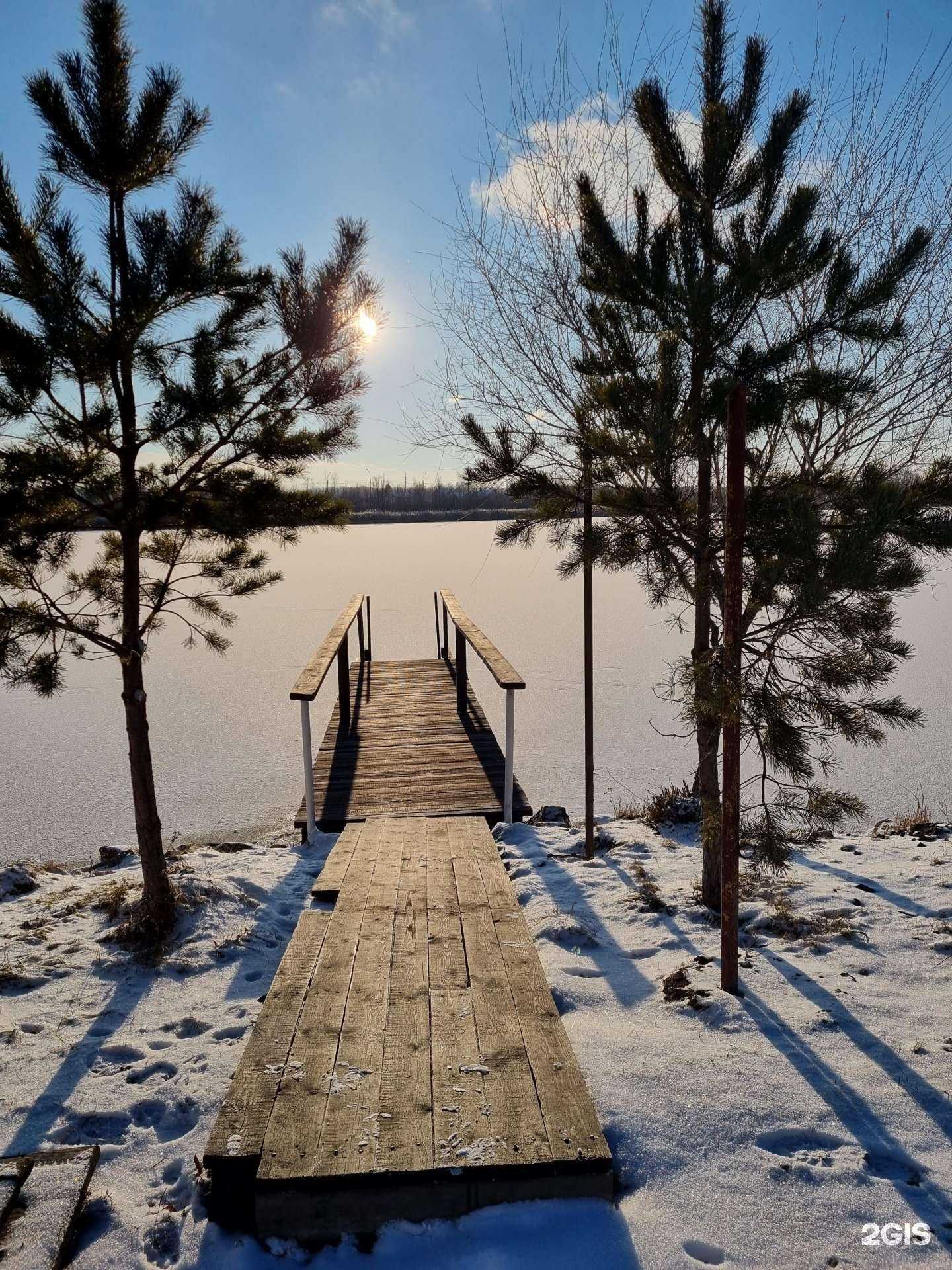 Отзывы на компанию Медвежка в Новосибирске c фото