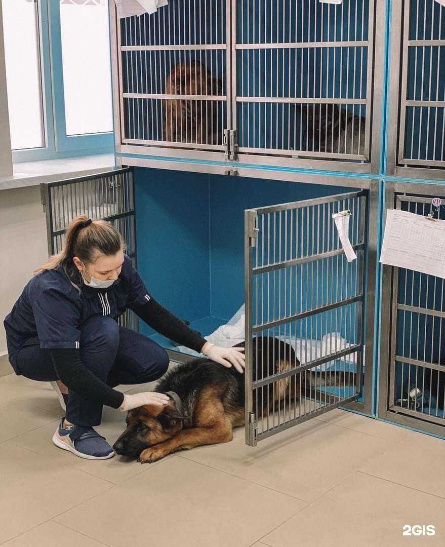 Отзывы на компанию Подлесный в Курске c фото