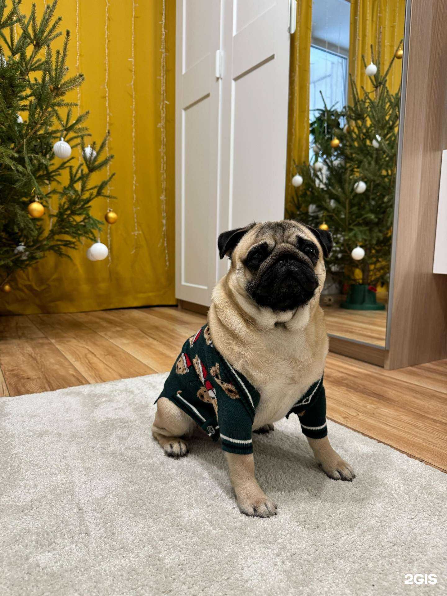 Отзывы на компанию ЗооОптТорг.РФ в Казани c фото